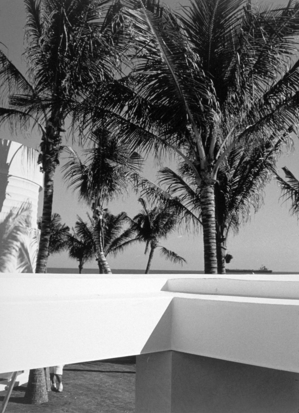 Palm_Beach_Estate_gallery_3.jpg