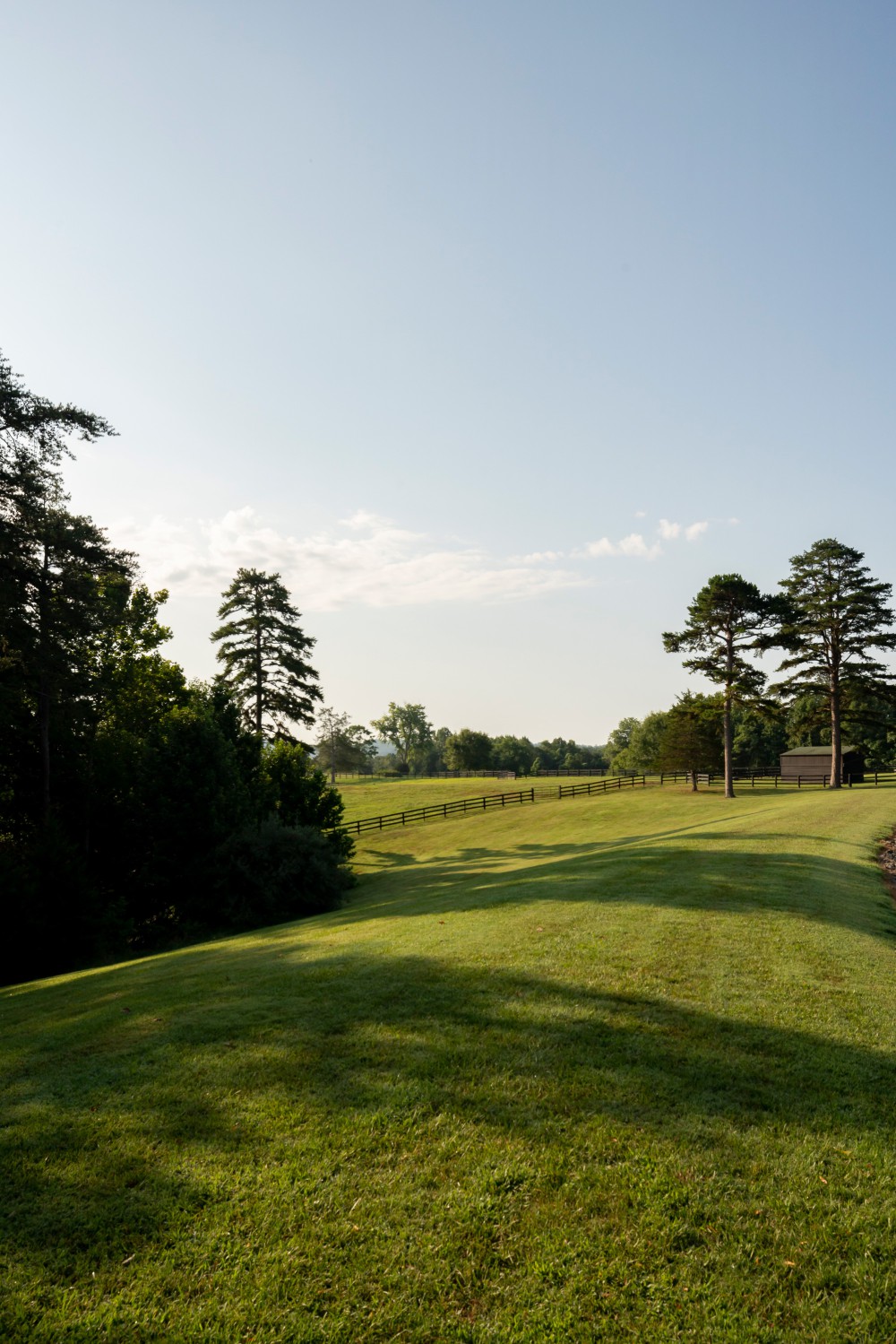 crozet_horse_farm_gallery_6_1.jpg
